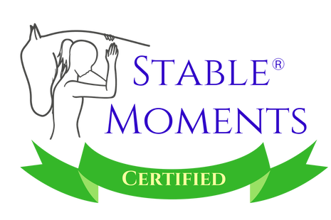 Stable Moments youth mentoring program